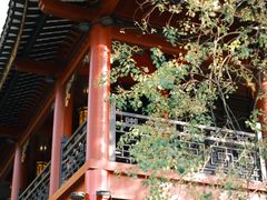 -顺峰山公园
