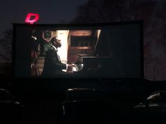 -枫花园汽车电影院(朝阳公园店)