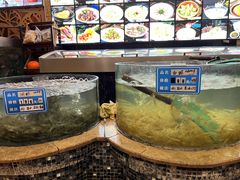 -红樽舫湖州菜.湖景餐厅(太湖渔人码头店)