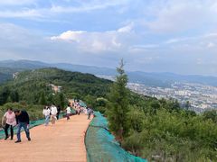 -长虫山生态公园风景林
