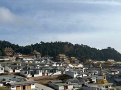-四川郎木寺镇