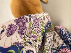 -Again Coffee Roaster(香蜜湖店)