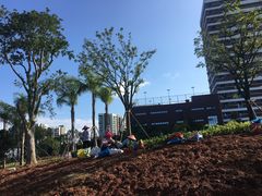 -宝安西湾红树林湿地公园