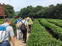 -西湖风景区十里琅珰-五云山