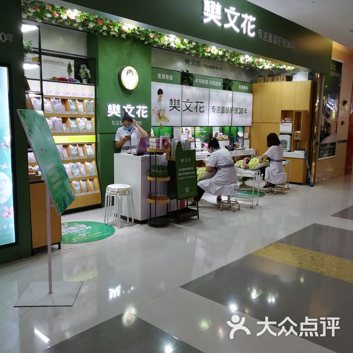 樊文花