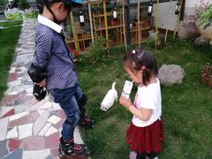 -龙湖东院农庄(乡间小路店)