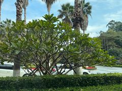 -厦门艾美酒店·新食谱西餐厅