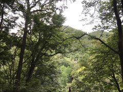 -黔灵山公园-南门售票处