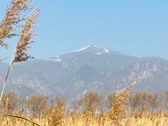 -野鸭湖国家湿地公园