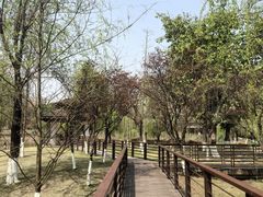-沐仙湖湿地公园