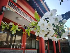 -居庸关长城