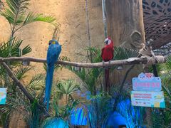 -杭州开元森泊度假乐园