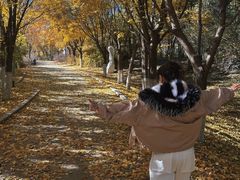 -长春世界雕塑园冰雪艺术天地