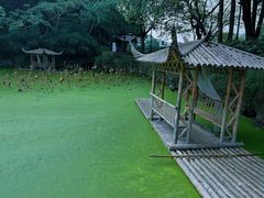 -兰亭风景区