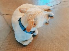-赛卡联盟WSK卡丁车俱乐部