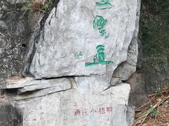 -梧桐山风景名胜区