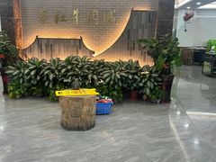 -蔡社牛肉城(龙湖店)