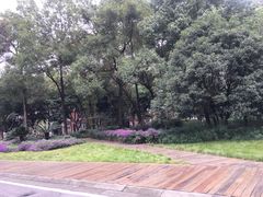 -四川大学(望江校区)