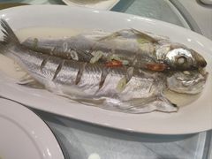 清蒸白鱼-渭塘酒家(生态园店)