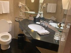 -南京金陵饭店