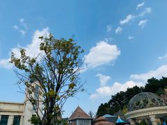 -国信南山温泉
