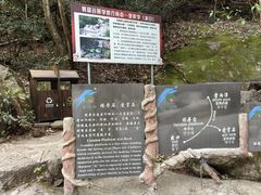 -黄山翡翠谷景区