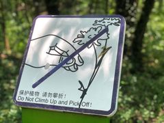 -西湖风景区-江洋畈生态公园
