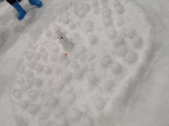 -Mr·Kuma酷么先生雪之乐园