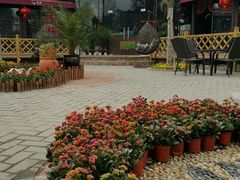 -森居forest休闲咖啡聚集地