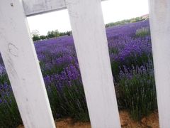 景点-渔岛海洋度假区