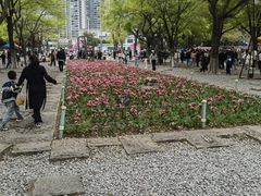 -圩墩遗址公园