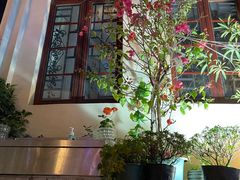 -川里谈·川味小馆(北京路店)