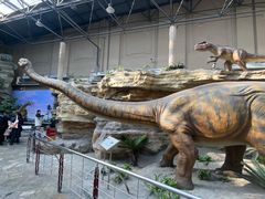 -国家自然博物馆