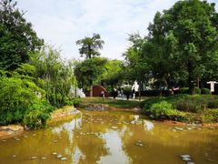 -大亚湾红树林城市湿地公园