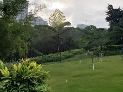 -龙头寺公园