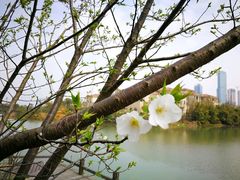 -艾溪湖湿地公园