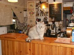 -隅cafe(傅厚岗店)