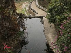-广州市帽峰山景区