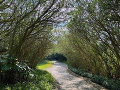 -滨海高尔夫俱乐部