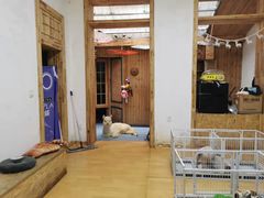 -猫色咖啡·猫咖