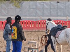 -北京群众马术培训基地