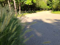 -永定河休闲森林公园