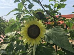 -意大利农场度假村