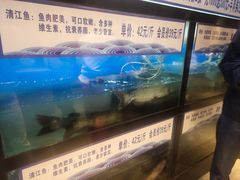 -舒来喜鱼锅(伊河路店)
