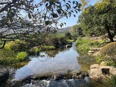 -中国茶叶博物馆(双峰馆区)