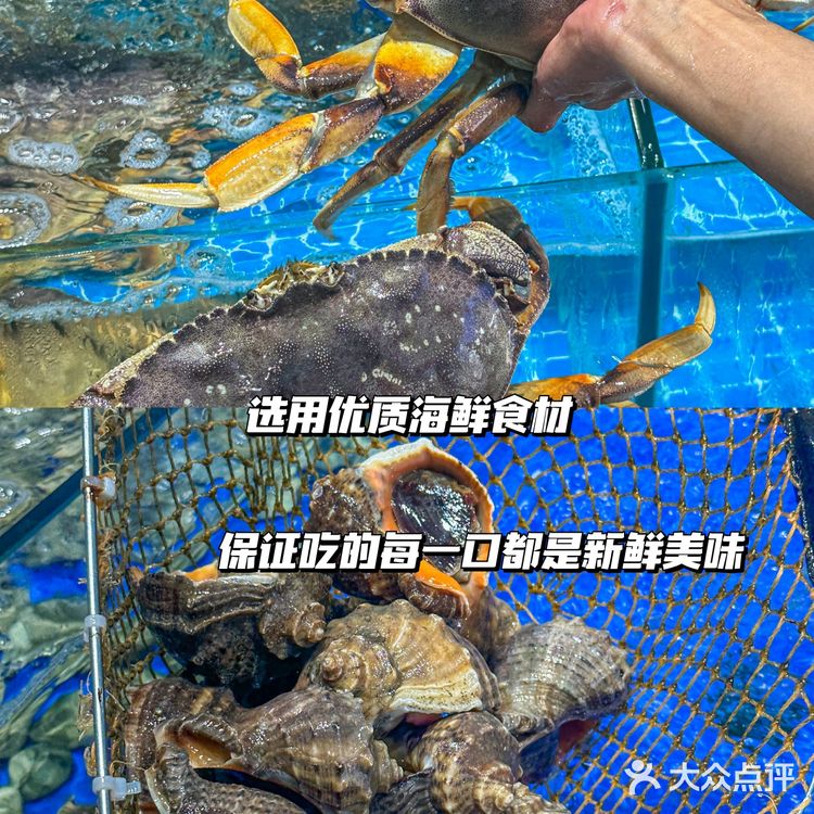 超强美食分享‼开了很多年的老字号海鲜店   