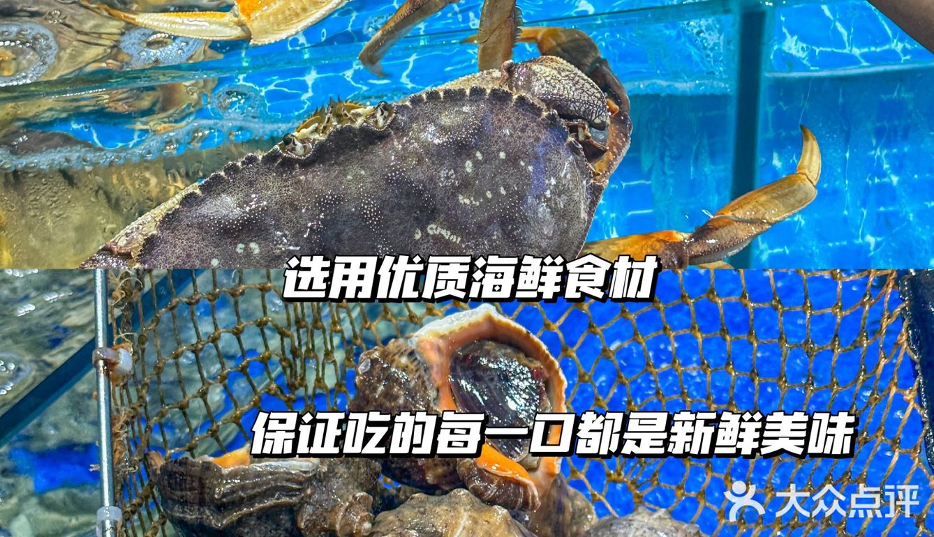 超强美食分享‼开了很多年的老字号海鲜店   