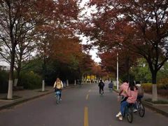 -江南大学(蠡湖校区)