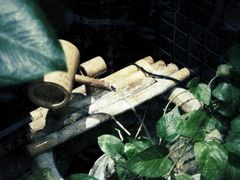 -1492雪茄威士忌俱乐部(明宇金融广场店)