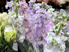 -循礼门鲜花花市(武汉循礼门店)